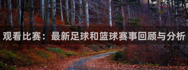 观看比赛：最新足球和篮球赛事回顾与分析
