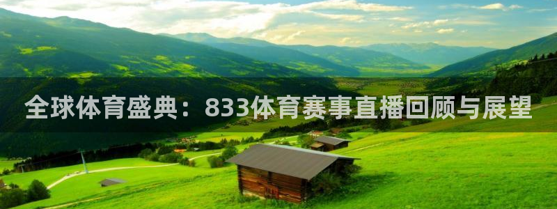 全球体育盛典：833体育赛事直播回顾与展望