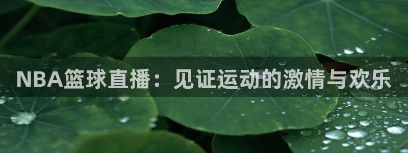 NBA篮球直播：见证运动的激情与欢乐