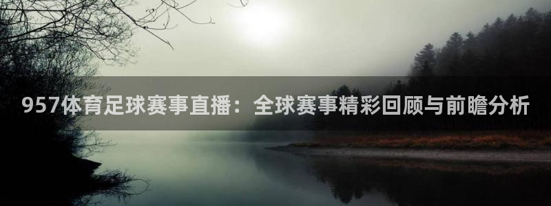 957体育足球赛事直播：全球赛事精彩回顾与前瞻分析