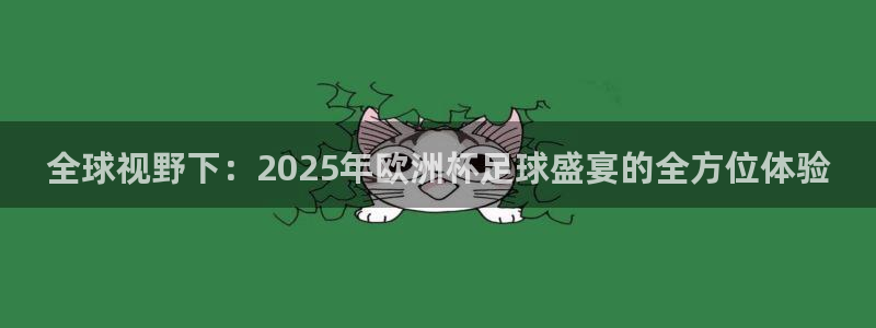 全球视野下：2025年欧洲杯足球盛宴的全方位体验