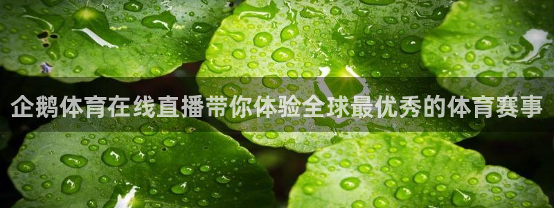企鹅体育在线直播带你体验全球最优秀的体育赛事