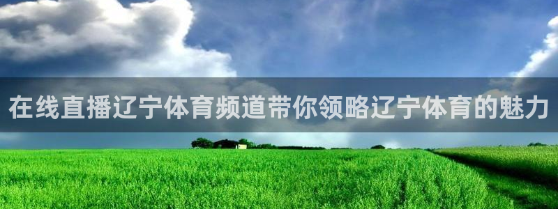 在线直播辽宁体育频道带你领略辽宁体育的魅力