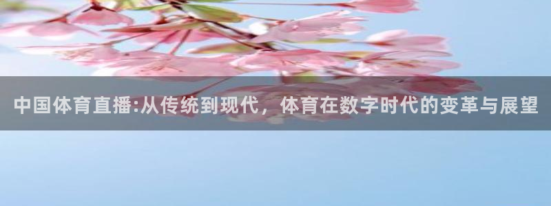 中国体育直播:从传统到现代，体育在数字时代的变革与展望