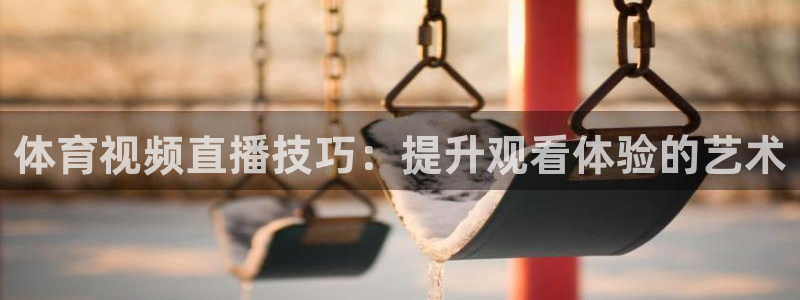 体育视频直播技巧：提升观看体验的艺术