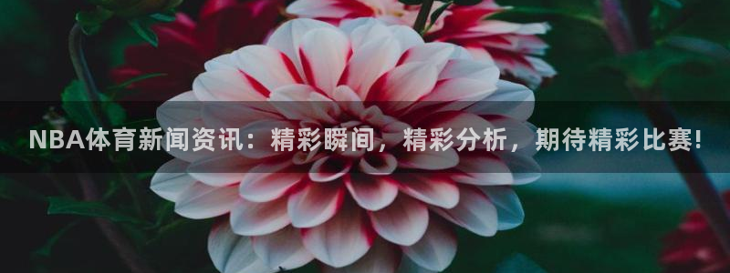 NBA体育新闻资讯：精彩瞬间，精彩分析，期待精彩比赛!