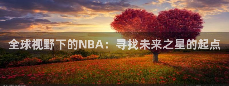 全球视野下的NBA：寻找未来之星的起点