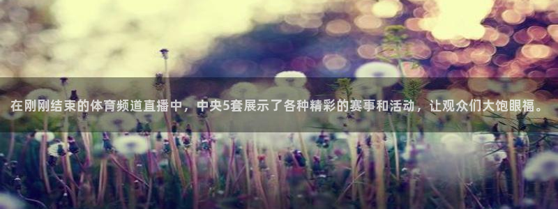 在刚刚结束的体育频道直播中，中央5套展示了各种精彩的赛事和活动，让观众们大饱眼福。