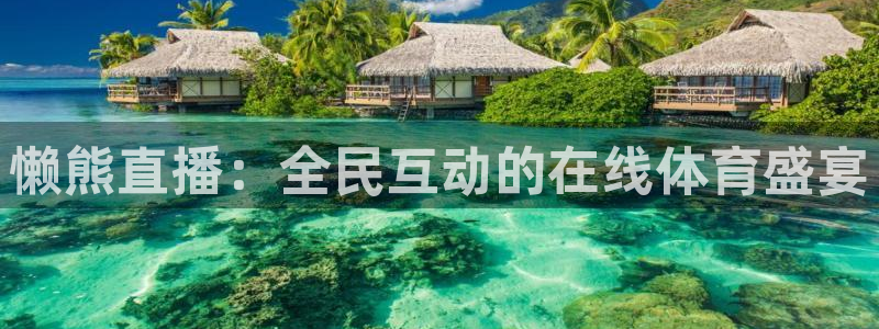 懒熊直播：全民互动的在线体育盛宴