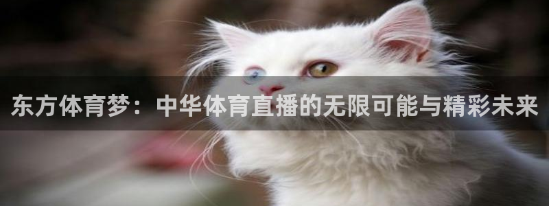 东方体育梦：中华体育直播的无限可能与精彩未来