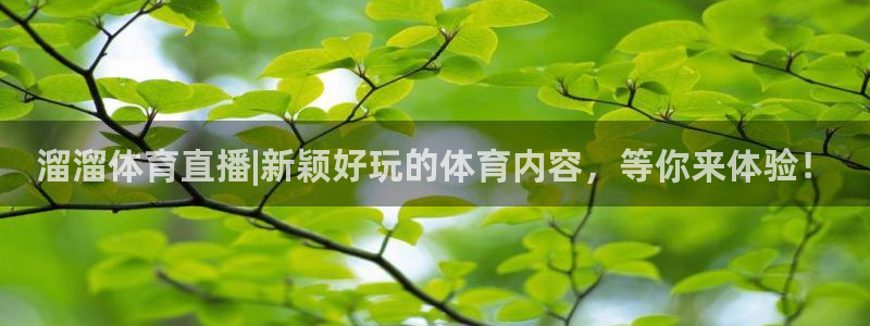 溜溜体育直播|新颖好玩的体育内容，等你来体验！