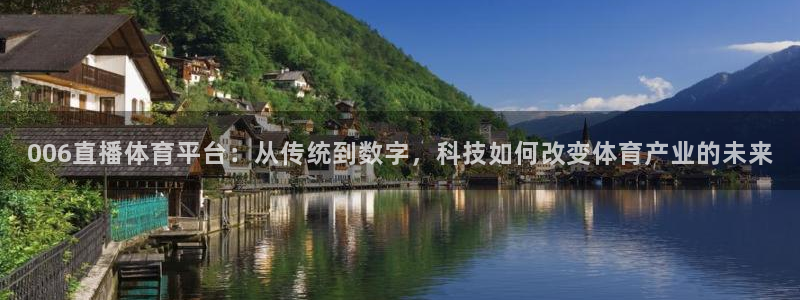 006直播体育平台：从传统到数字，科技如何改变体育产业的未来