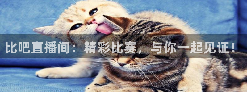 比吧直播间：精彩比赛，与你一起见证！