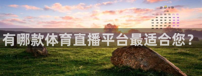 有哪款体育直播平台最适合您？
