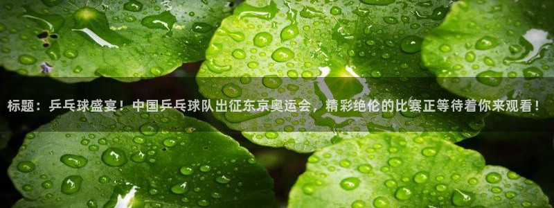标题：乒乓球盛宴！中国乒乓球队出征东京奥运会，精彩绝伦的比赛正等待着你来观看！