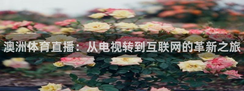 澳洲体育直播：从电视转到互联网的革新之旅