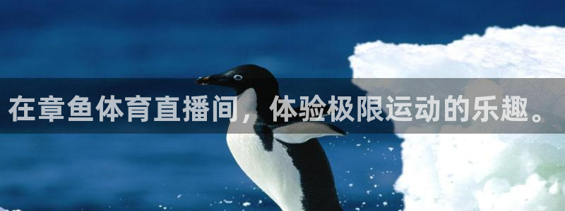在章鱼体育直播间，体验极限运动的乐趣。
