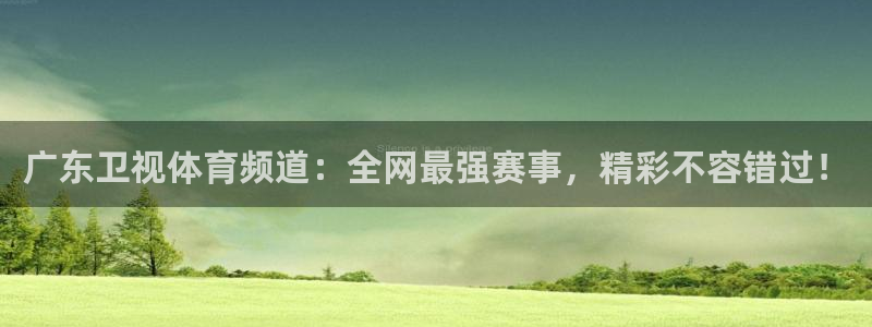 广东卫视体育频道：全网最强赛事，精彩不容错过！