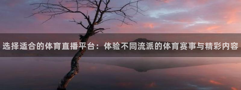 选择适合的体育直播平台：体验不同流派的体育赛事与精彩内容